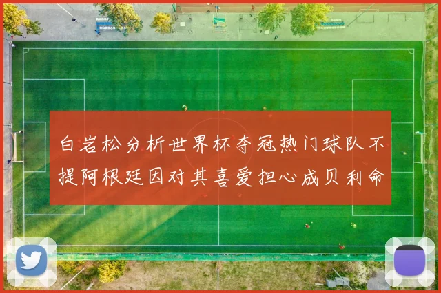 白岩松分析世界杯夺冠热门球队不提阿根廷因对其喜爱担心成贝利命运